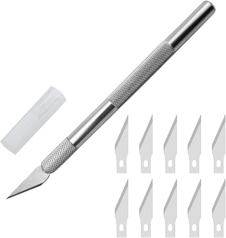 Ensemble Scalpel de précision avec 10 lames
