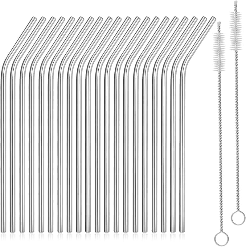 Lot de 20 pailles en acier inoxydable 304 avec brosses