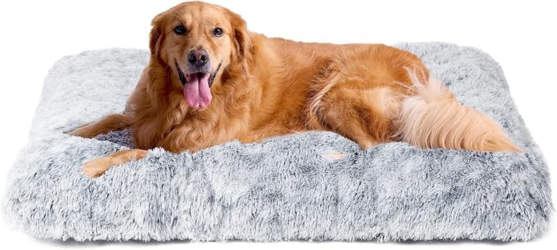 EHEYCIGA — Panier pour chien XXL