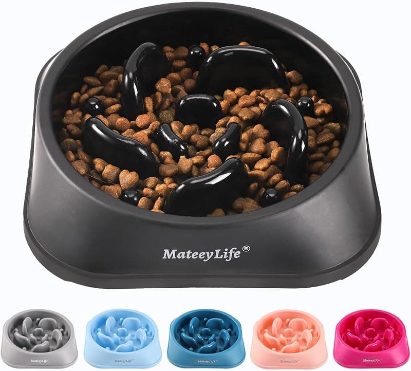 MateeyLife — Gamelle anti-glouton