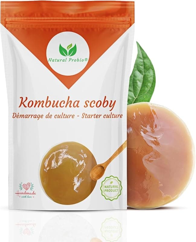 Natural Probio® — Kit SCOBY Kombucha Fabriqué en France