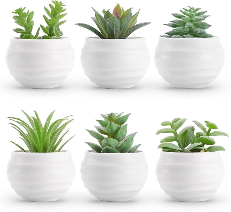 Lot de 6 Succulentes Artificielles en Pots