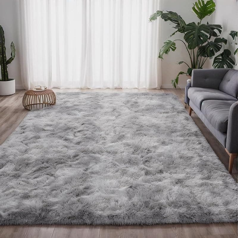 Tapis Salon — Doux et Moelleux Dessous Antidérapant