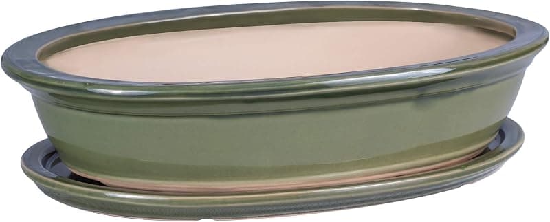 Soucoupe Céramique pour Bonsaï — Vert, ⌀ 19 cm