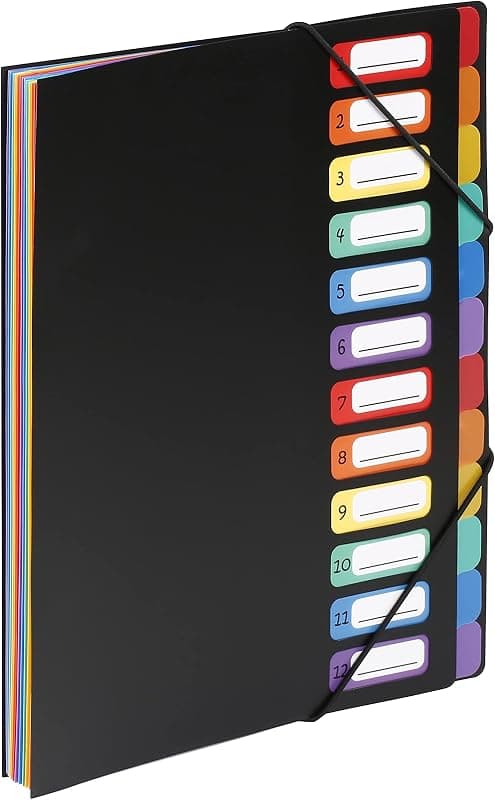 Viquel — Trieur extensible A4 12 compartiments Rainbow Class