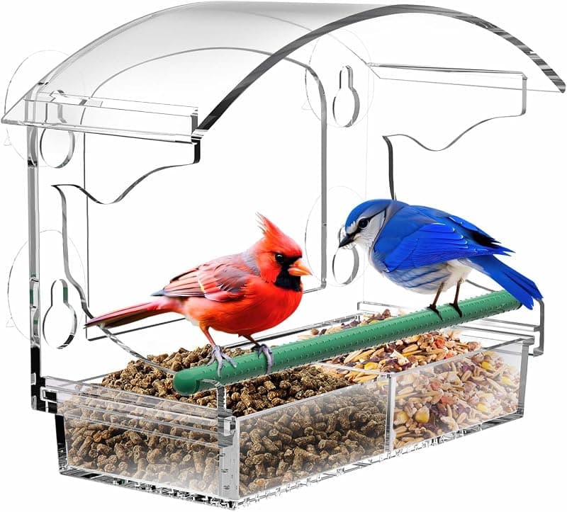 Mangeoire à oiseaux de fenêtre