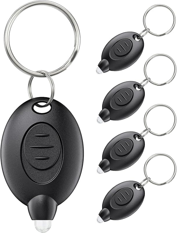 Lot de 5 mini lampes torches porte-clés LED