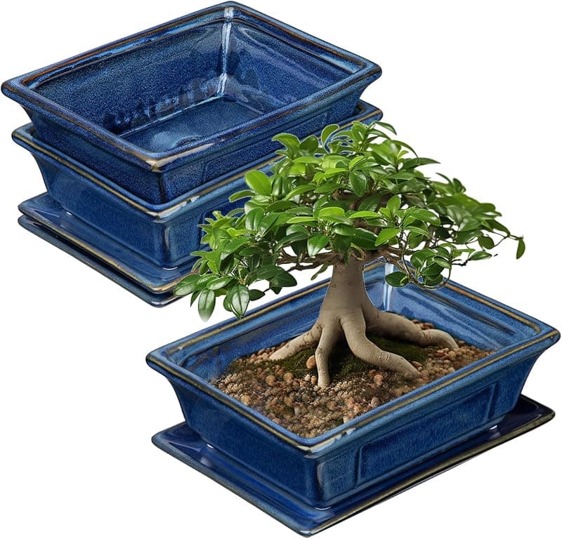 Lot de 2 Pots en Céramique pour Bonsaï avec Soucoupe — Style Rétro, ⌀ 19 cm