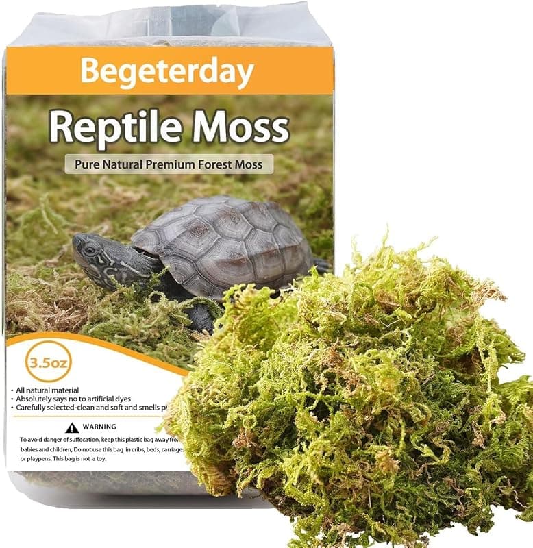Mousse de forêt pour terrarium humide