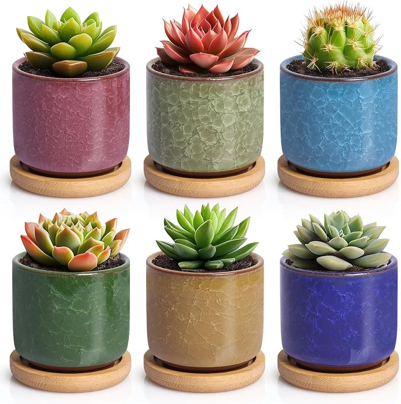 T4U — Lot de 6 Pots en Céramique Effet Glace avec Soucoupes