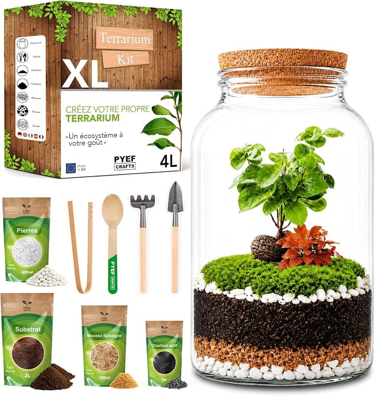 Kit Terrarium — Jardin en Bouteille DIY avec Verre 4 L